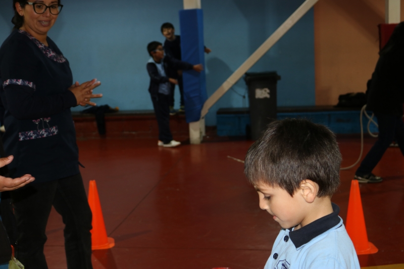 Día de la Actividad Física